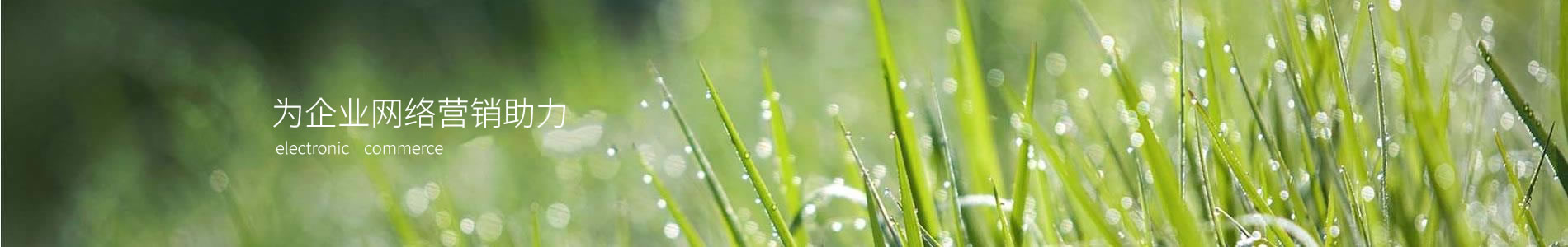 ֣ĵӿƼ޹˾